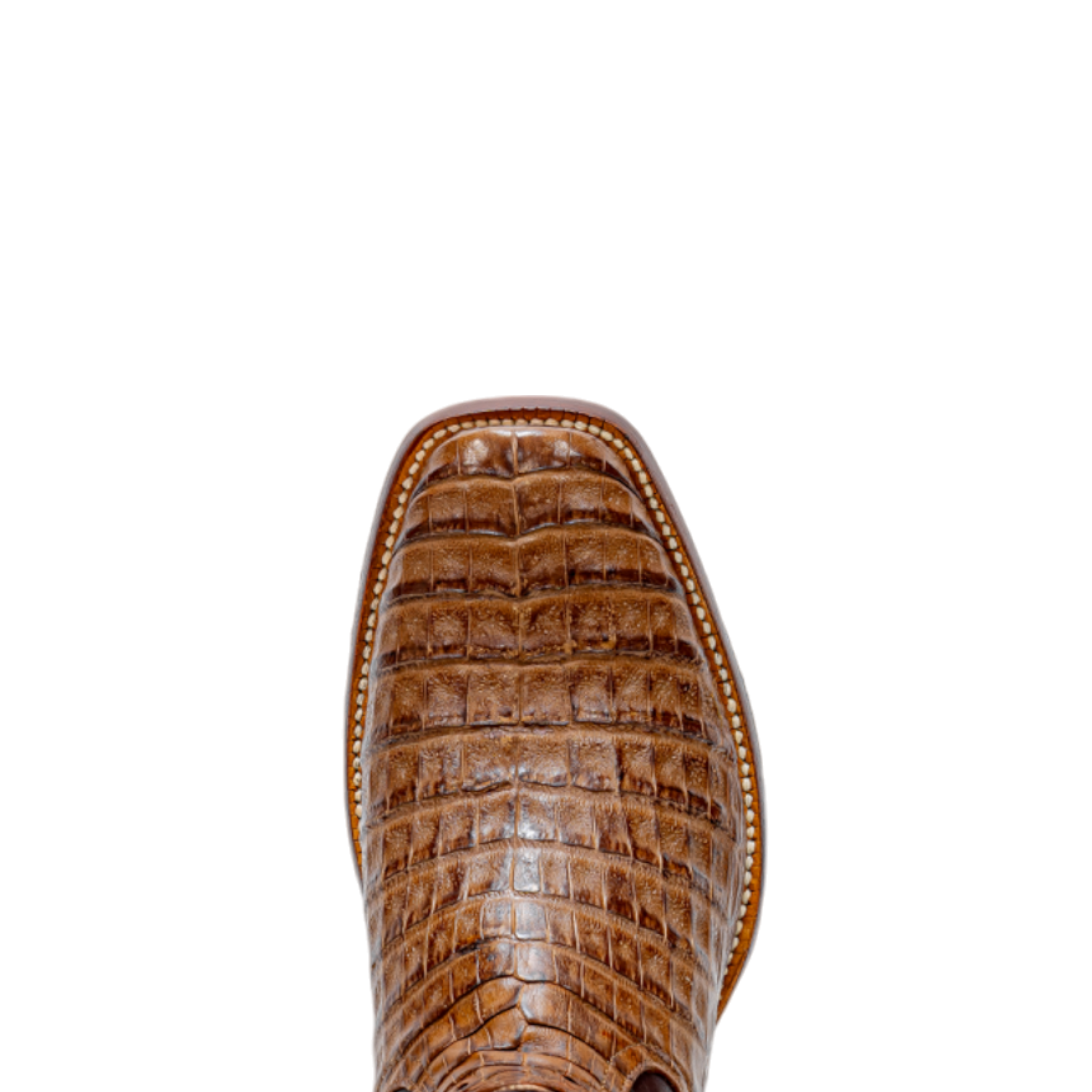 ROD PATRICK NATURE NUEZ CAIMAN (D)