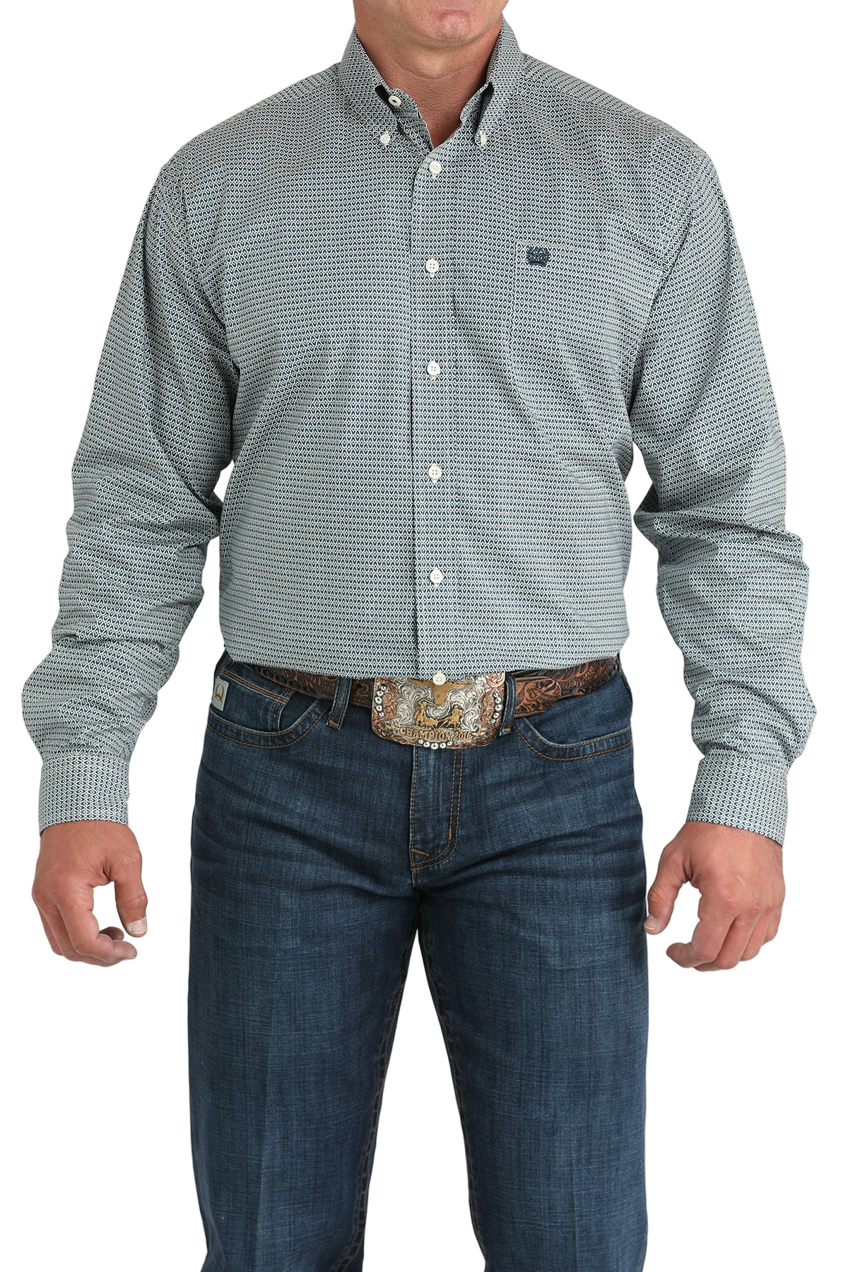 Man wearing a patterned gray long sleeve button-down shirt and jeans on a transparent background 