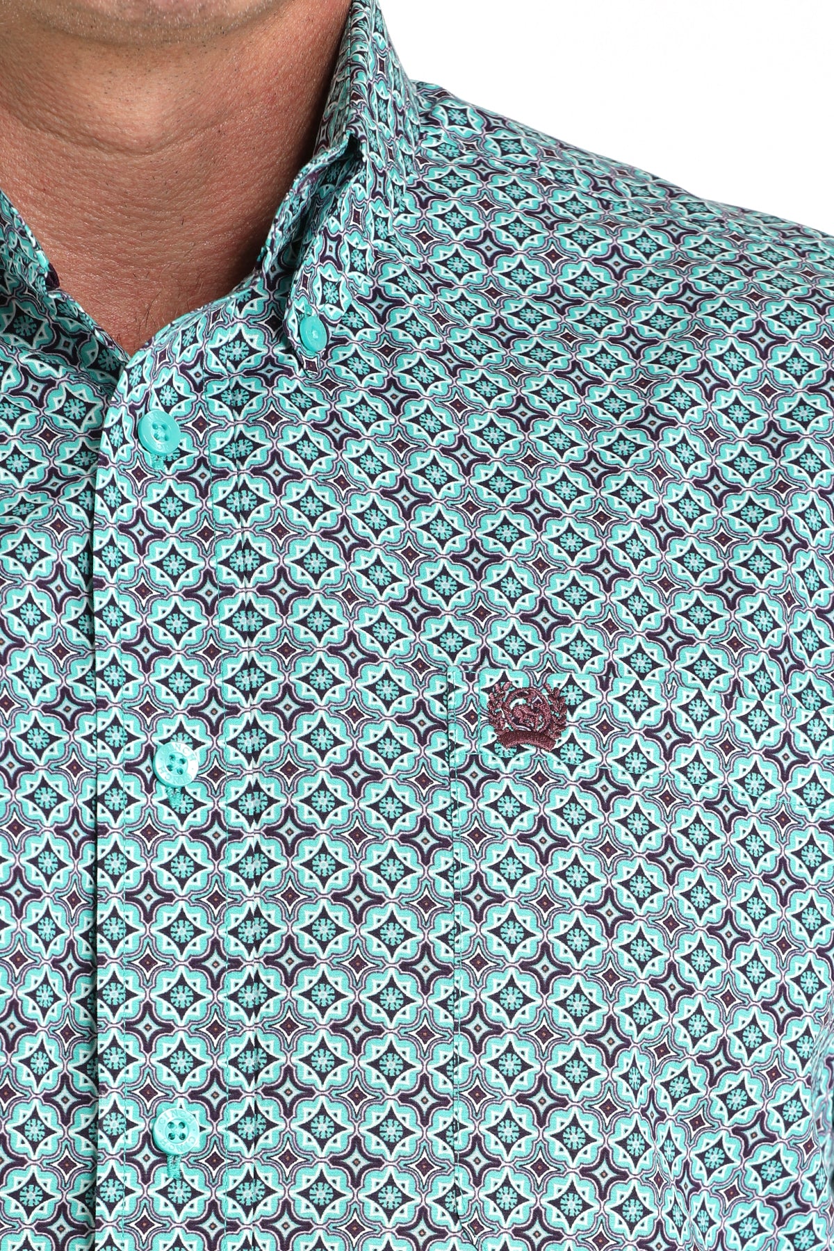Close-up of a man wearing a teal long sleeve button-down shirt 