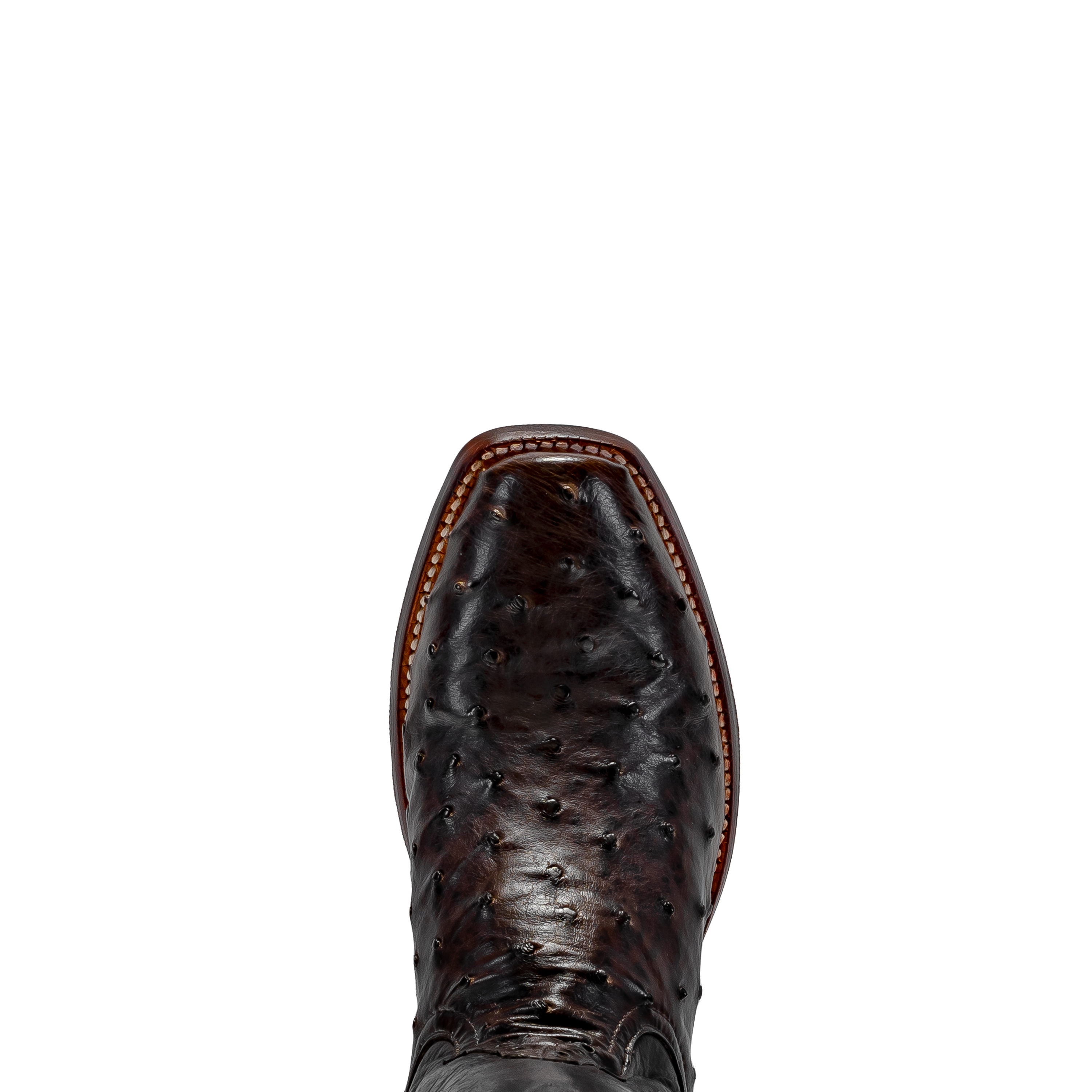 Rod Patrick NICOTINE FULL QUILL OSTRICH (D)
