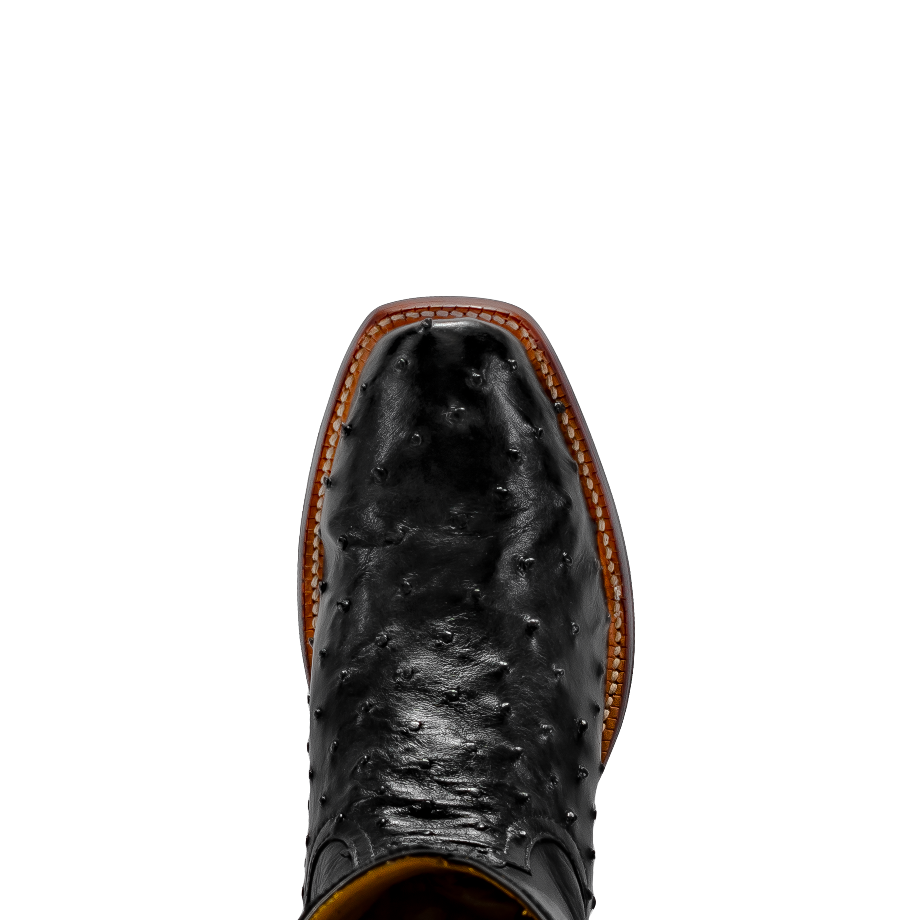 Rod Patrick BLACK FULL QUILL OSTRICH (A)