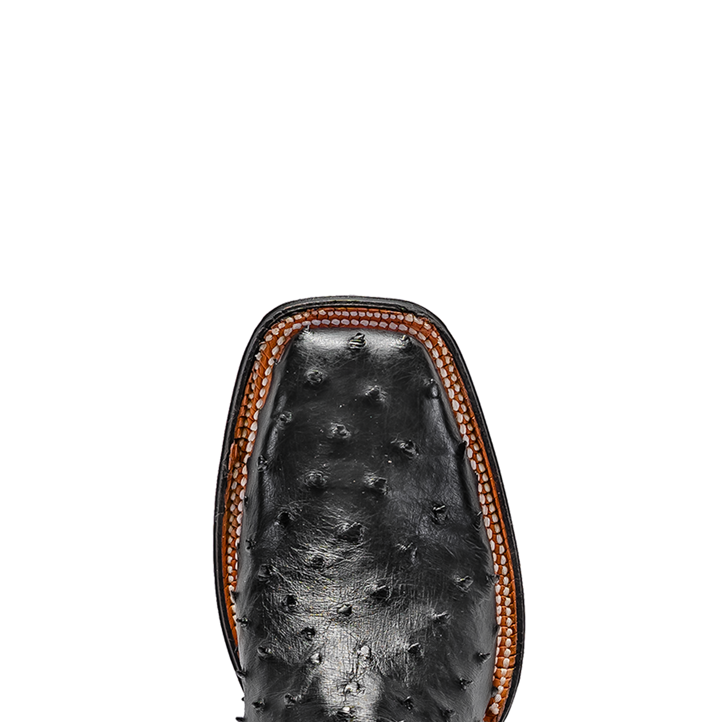 Rod Patrick BLACK CC FULL QUILL OSTRICH (EE)